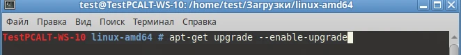 AltLinux8.png
